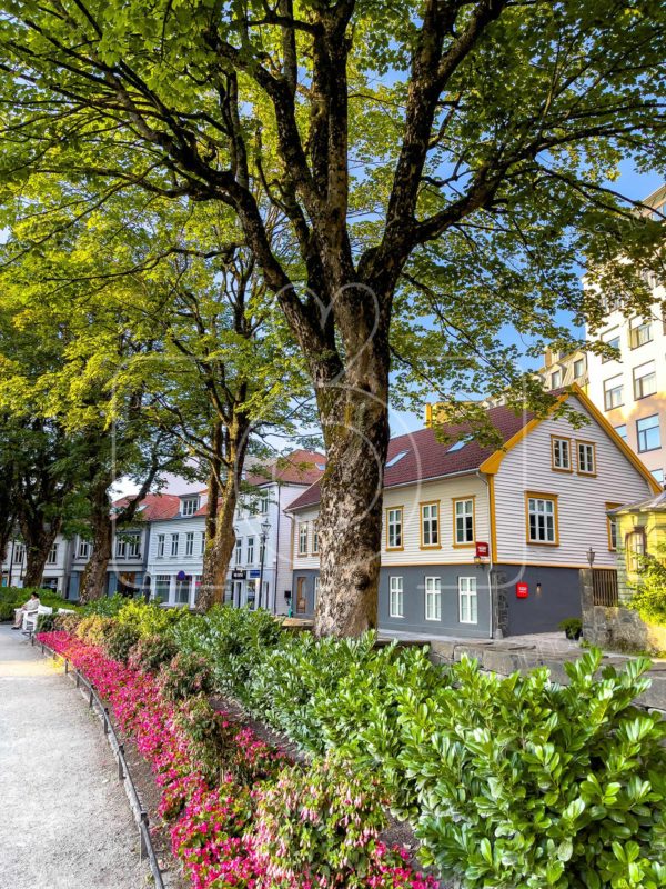Stavanger City Park / Byparken