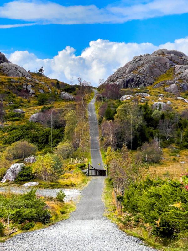 The Old Main Road of West Norway / Den Vestlandske Hovedvei