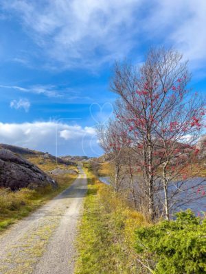 The Old Main Road of West Norway / Den Vestlandske Hovedvei