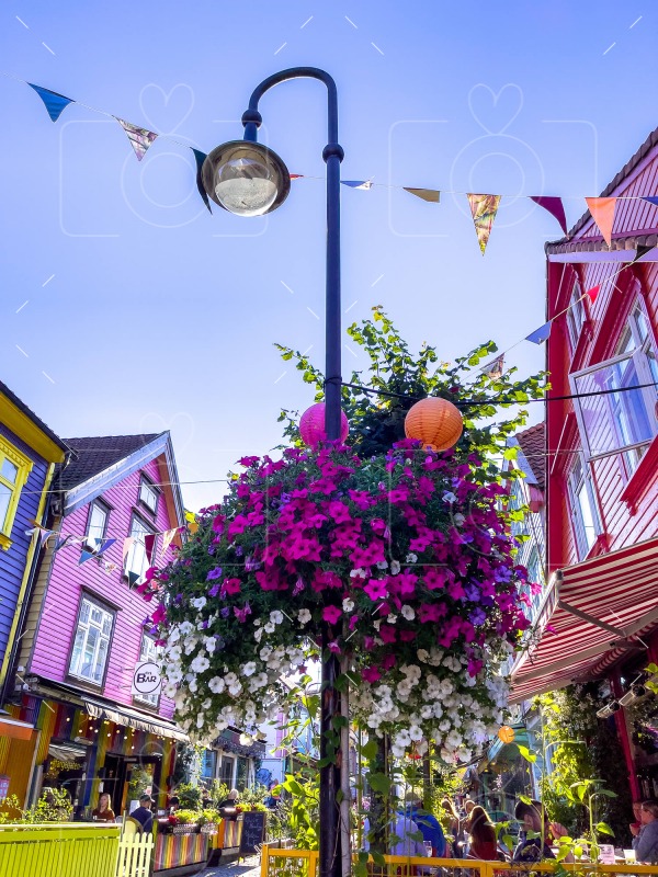 The Colorful Street / Fargegata Stavanger