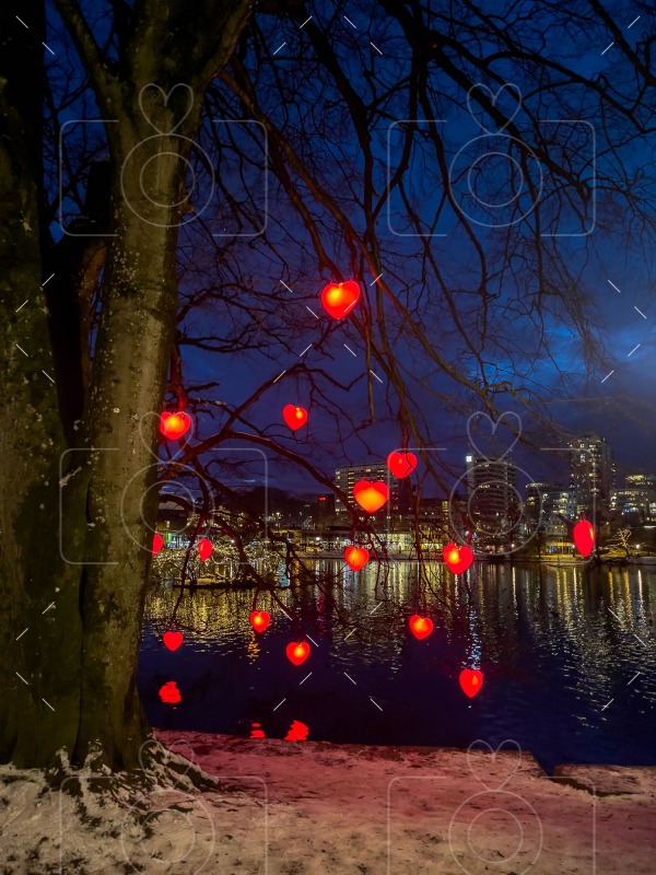 Stavanger City Park Heart Tree / Byparken Hjertetreet